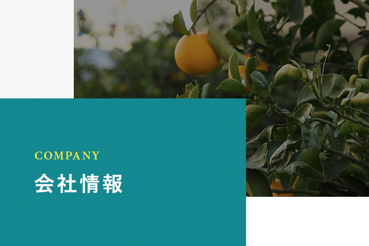 COMPANY 会社概要